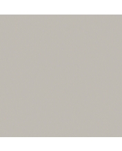 Granite Floor Tile TS5-603